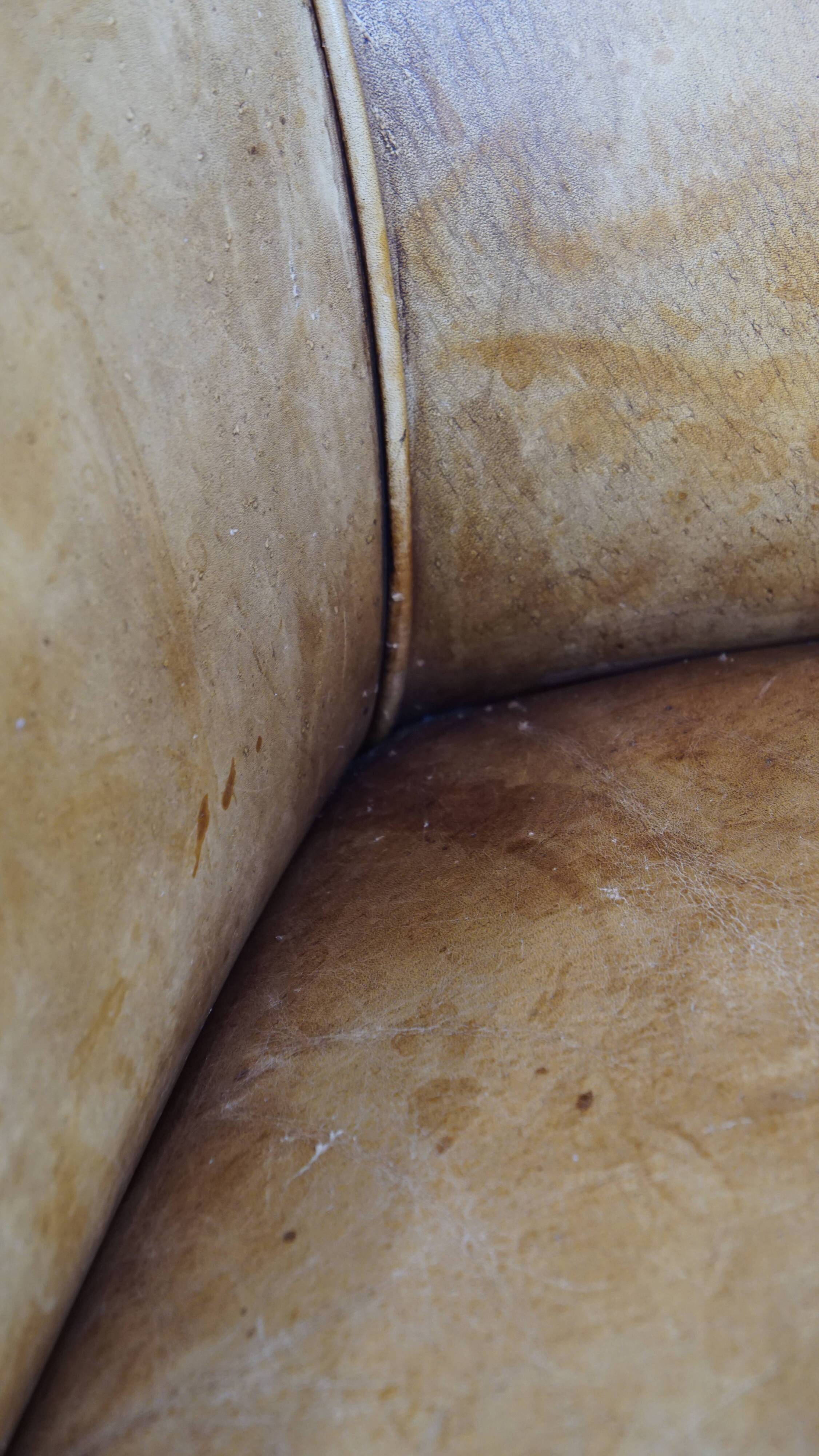 Cow leather English style club chair