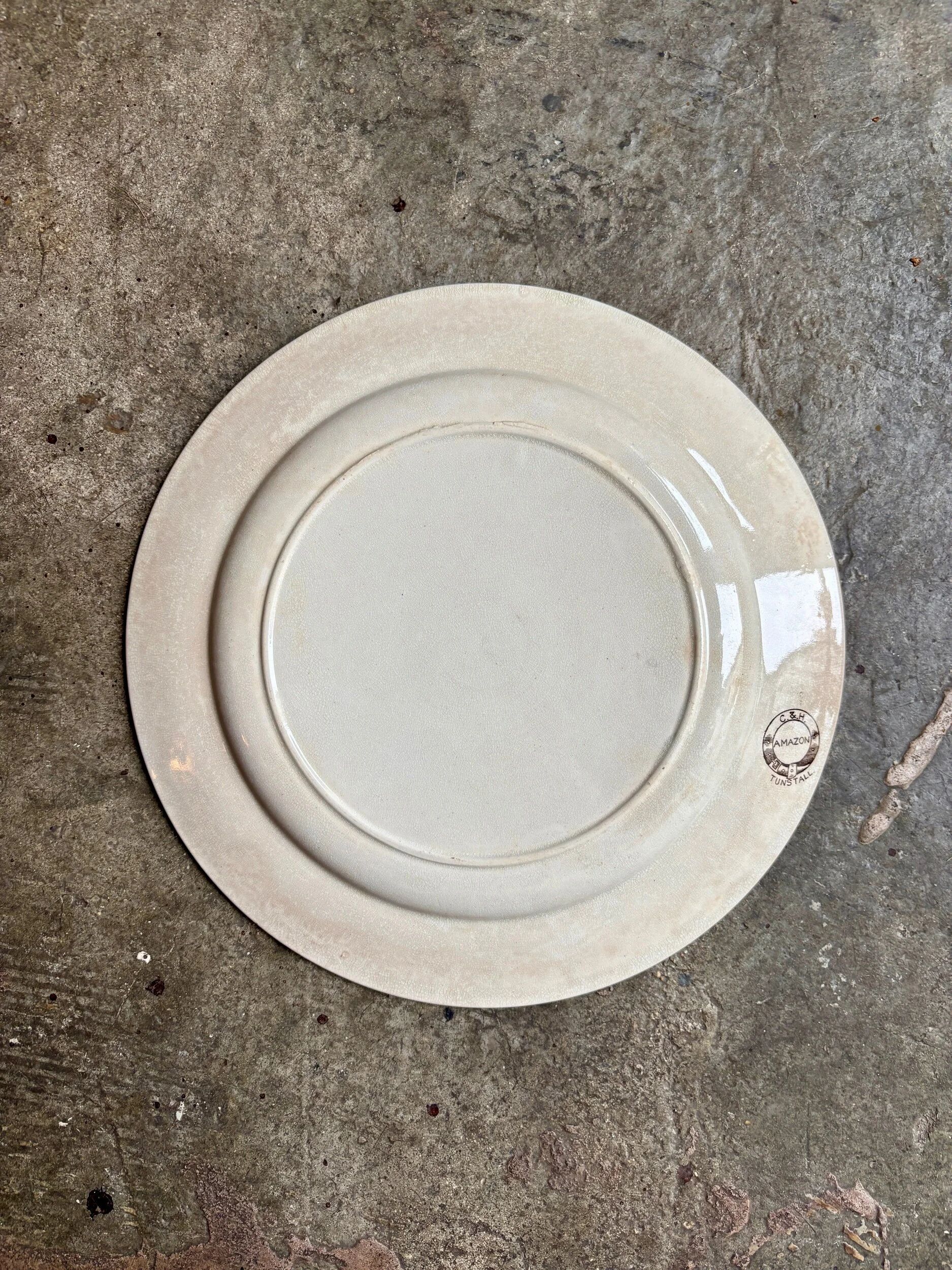 Assiette plate Tunstall en terre de fer anglaise marron et dorée, service "Amazon" vers 1880