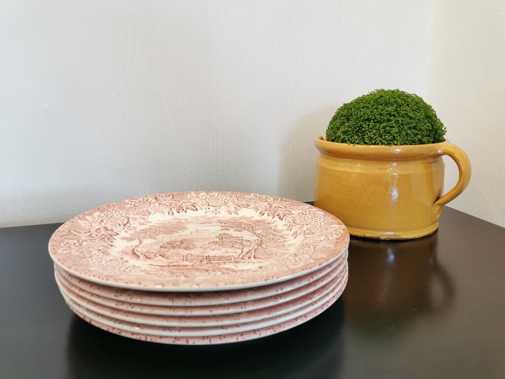 Set of 6 plates flat old décor English