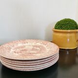 Lot de 6 assiettes plates anciennes décor English