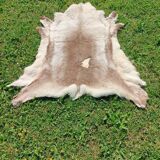 Reindeer skin rug