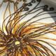 Royal copenhagen ceramic pocket tray by hellen malmer vintage