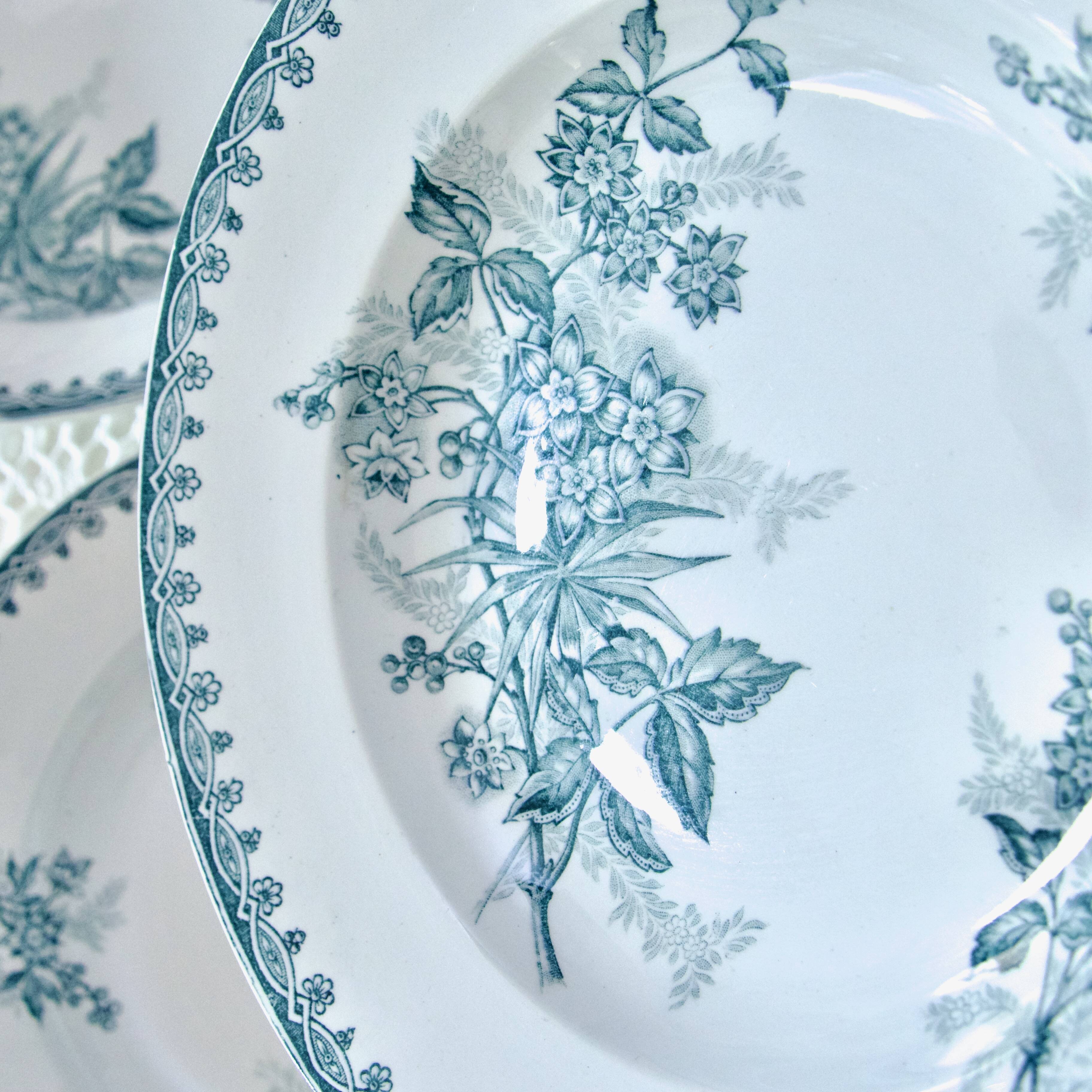 Old ironstone plates from St Amand "Margot" collection