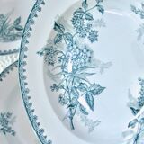 Old ironstone plates from St Amand "Margot" collection