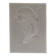 Bas-relief en plâtre d'une feuille d'acanthe avec une fleur.