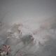 Peinture sur toile fleurs en prairie