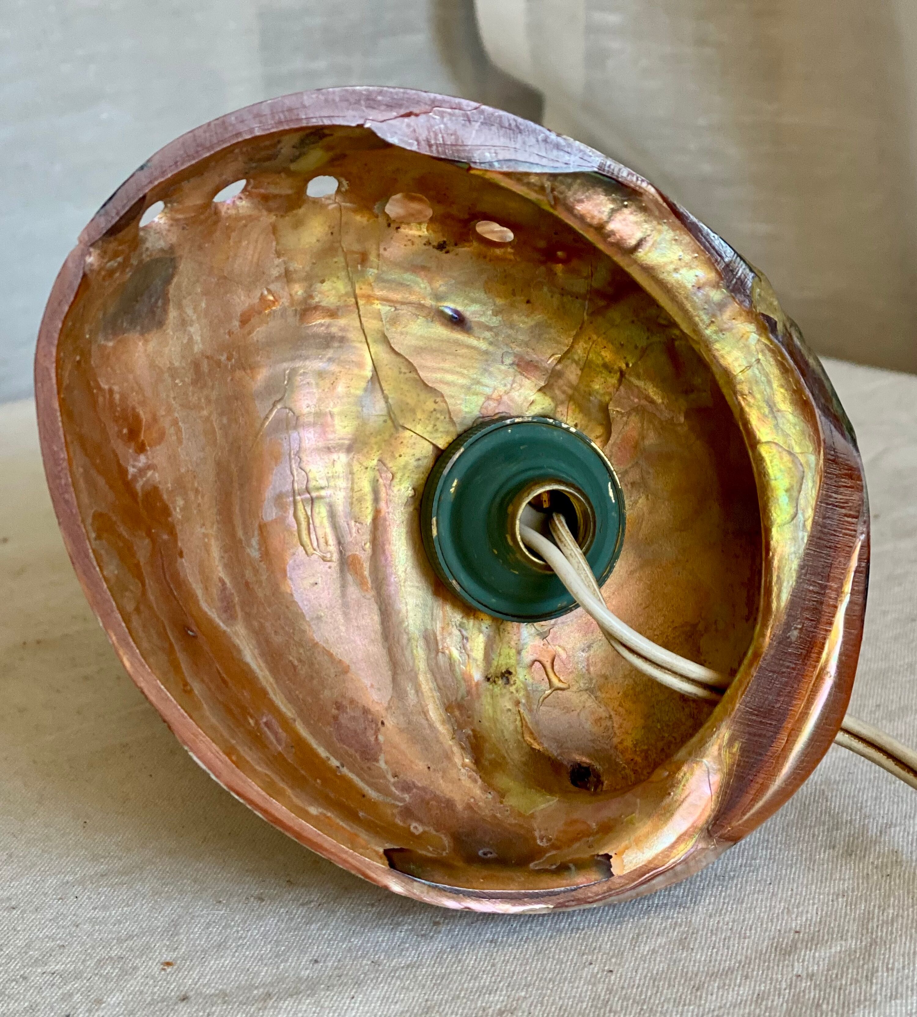 Vintage 1960s shell night light
