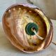 Vintage 1960s shell night light