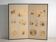 Antique Japanese folding screen with two panels featuring paintings – Japan, circa 1900
