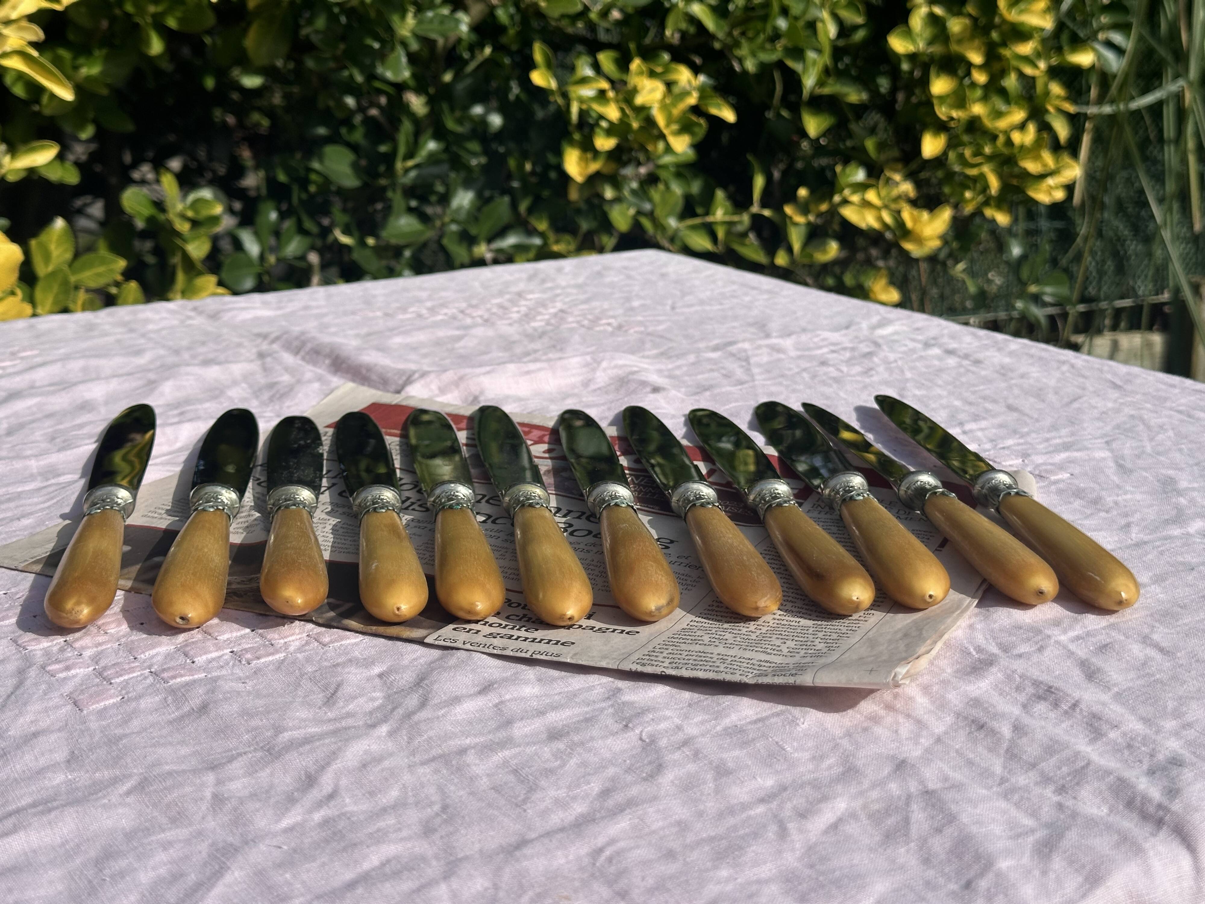 Set of 12 Antique Art Nouveau Table Knives - Tableware