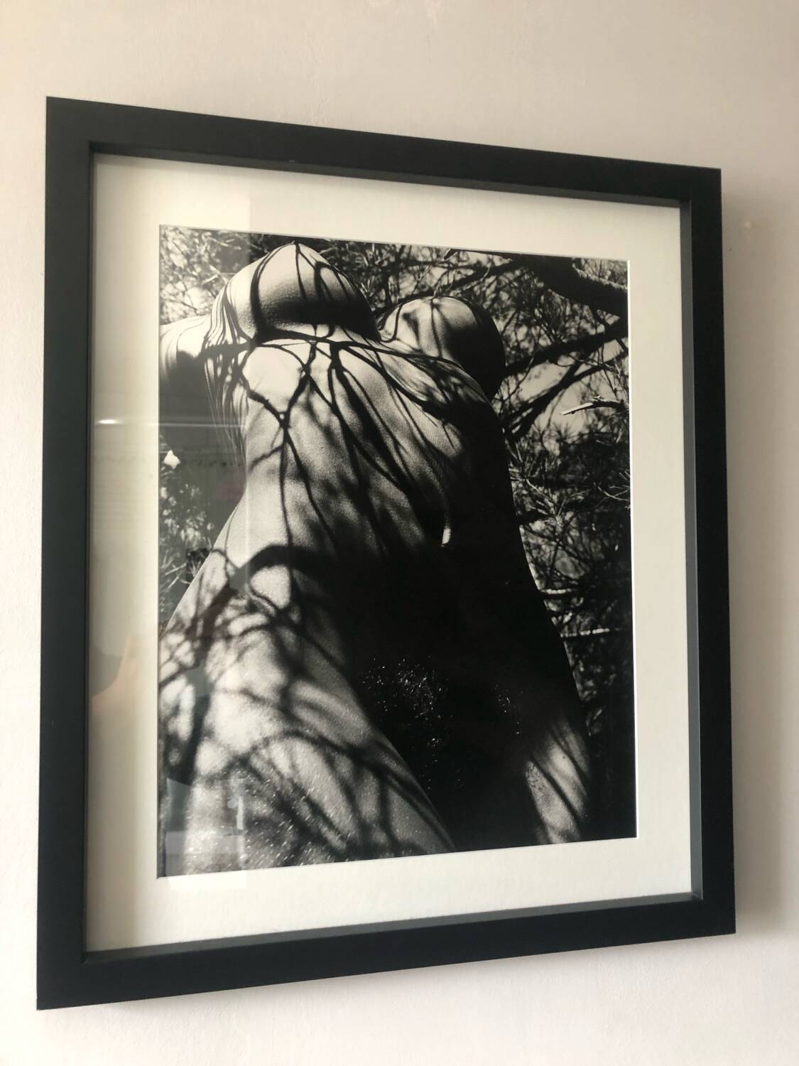 Lucien Clergue (1934-2014) - Nude in the forest 1973 Original Numbered Print
