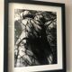 Lucien Clergue (1934-2014) - Nude in the forest 1973 Original Numbered Print