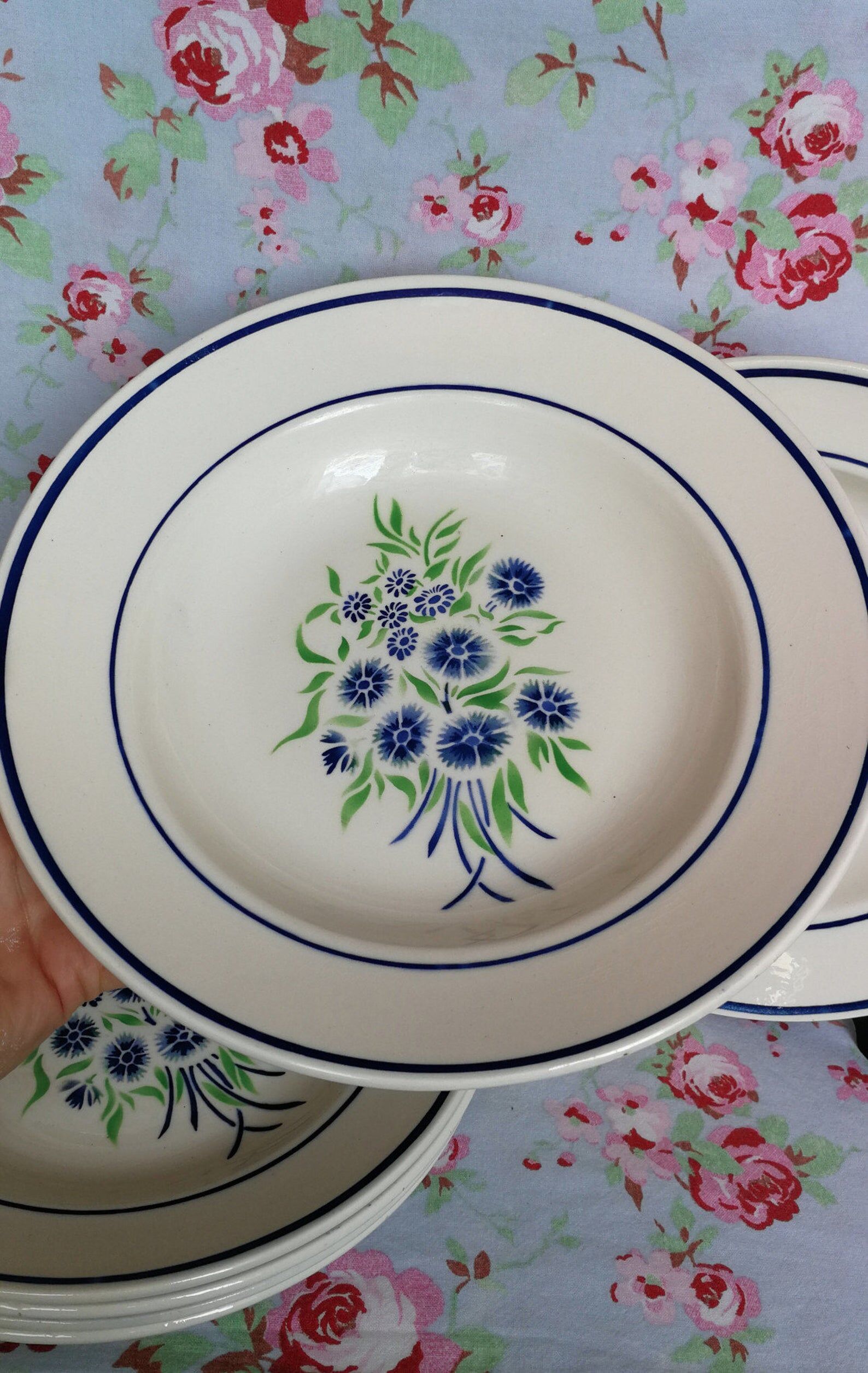 6 old Badonviller organic plates francine blue and green flowers in the stencil