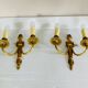 St Louis XVI gilded bronze wall lights with foliage and pine cone decorations