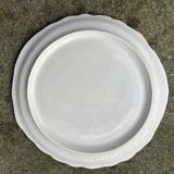 Series of very large swan barbotine plates