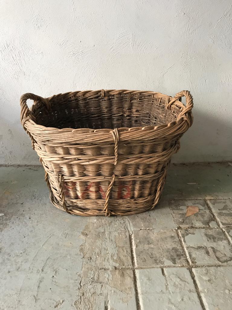 Harvest basket