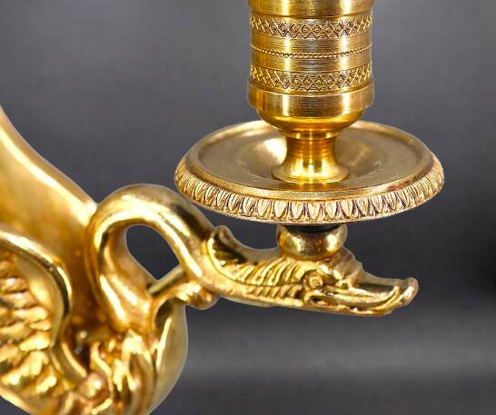 Flamboyant Pair of Candelabra/Chandeliers Solid Bronze Empire Style