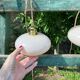 Vintage powder pink opaline globe player 1950