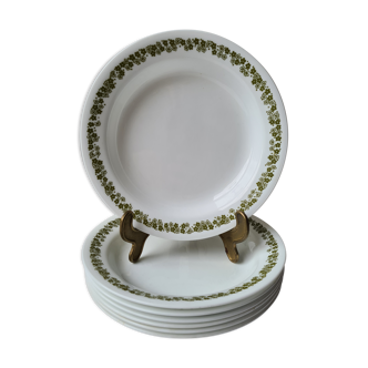 7 soup plates
