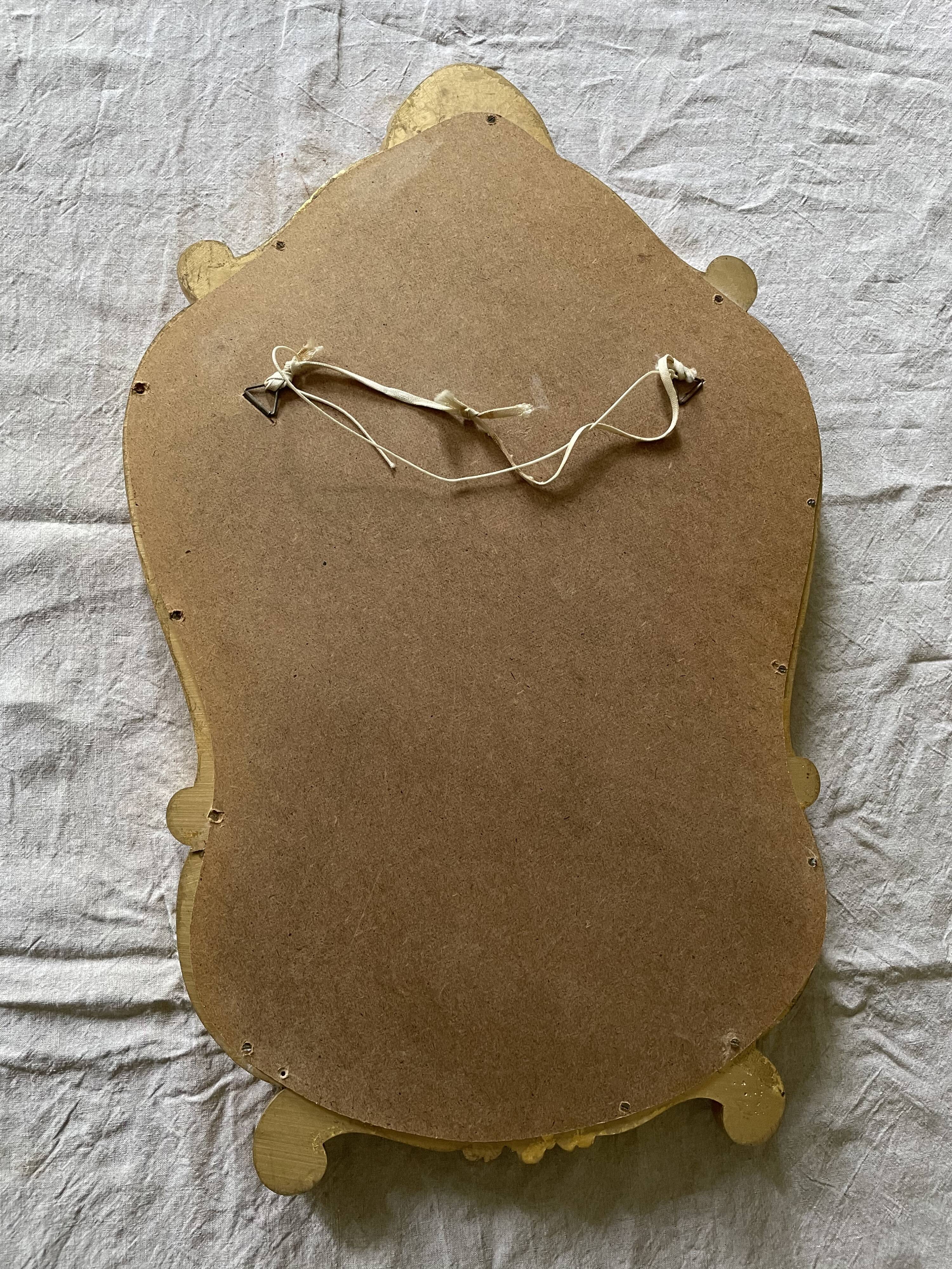 Golden resin rock mirror  42x68cm