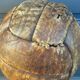 Mid-20th century leather soccer ball with visible stitching and beautiful patina