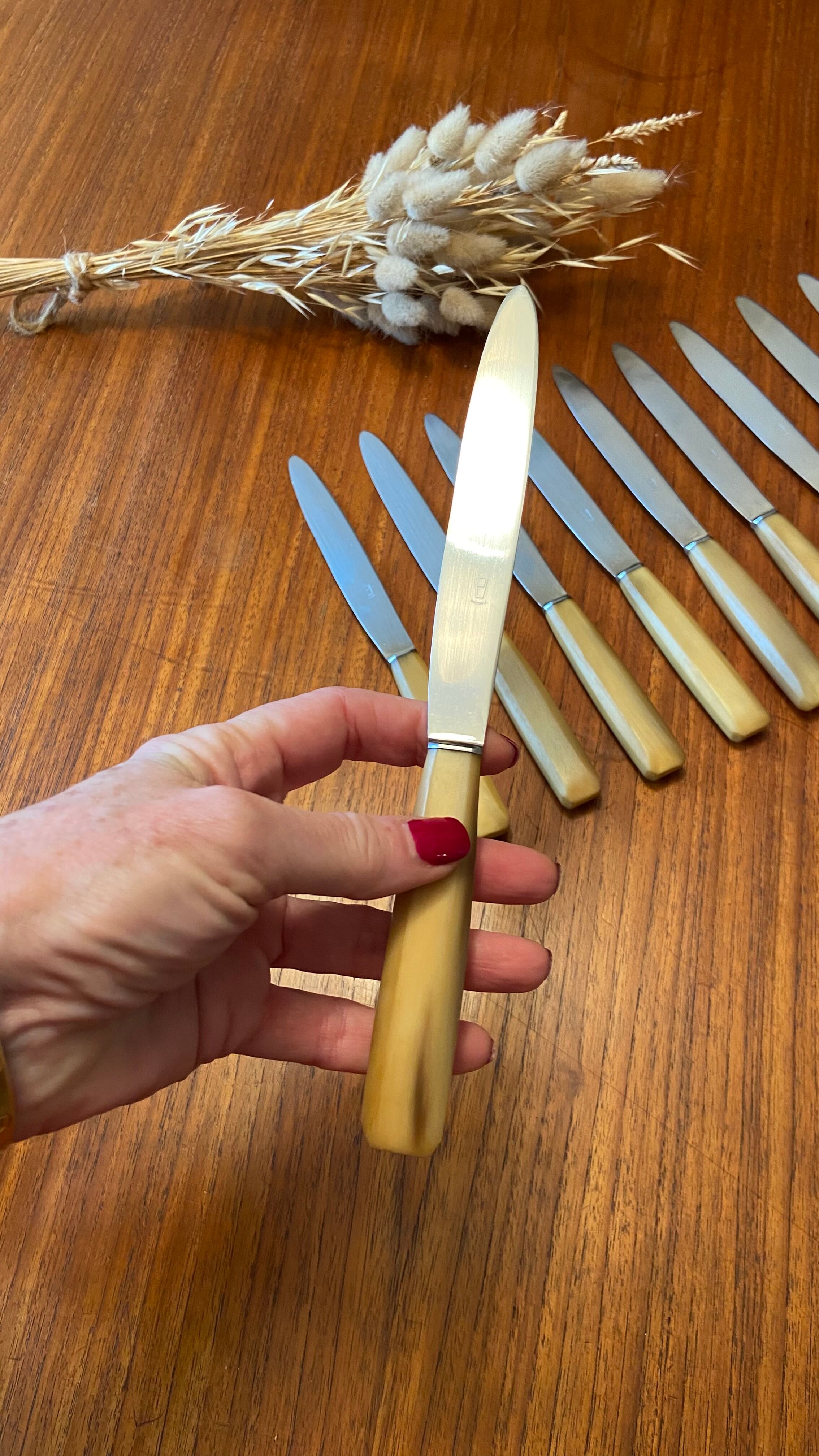 Christmas Pop-up 2022 - Set of 10 Vintage Horn Knives