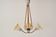 Mid-Century Chandelier, 1960´s