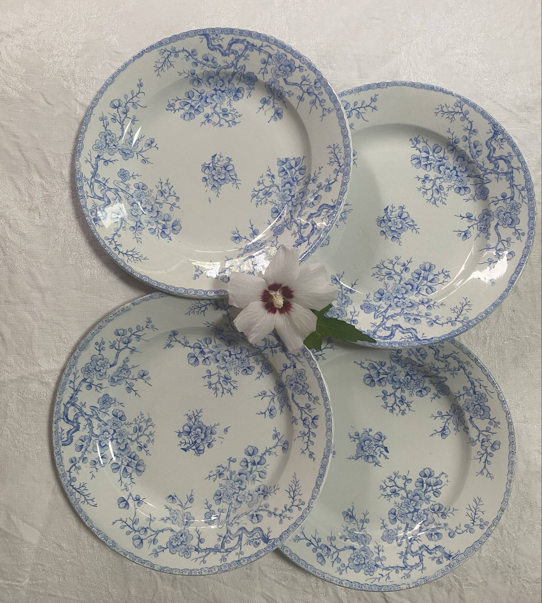 Lot de 4 assiettes plates modèle Fleurette de Gien