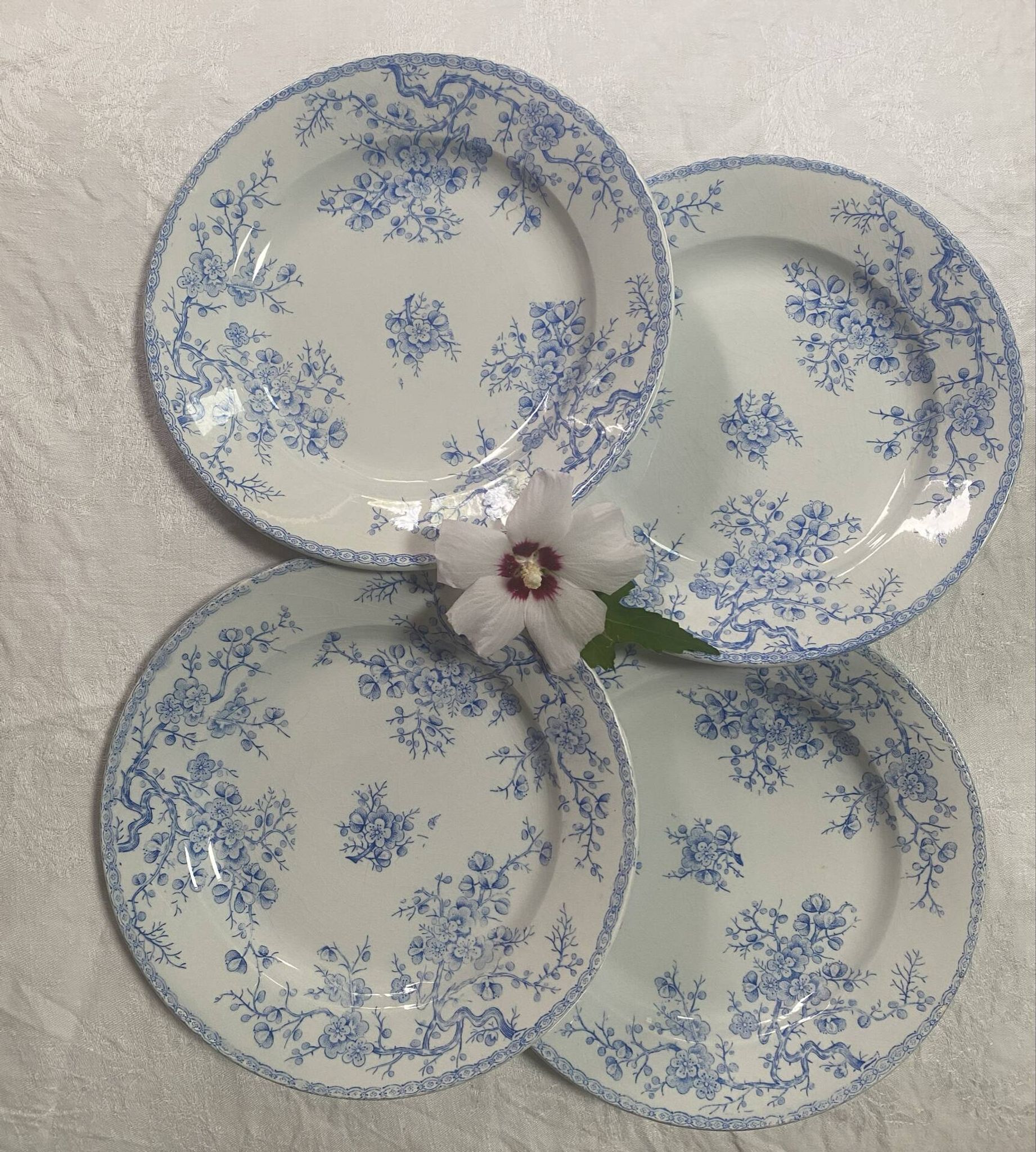 Lot de 4 assiettes plates modèle Fleurette de Gien