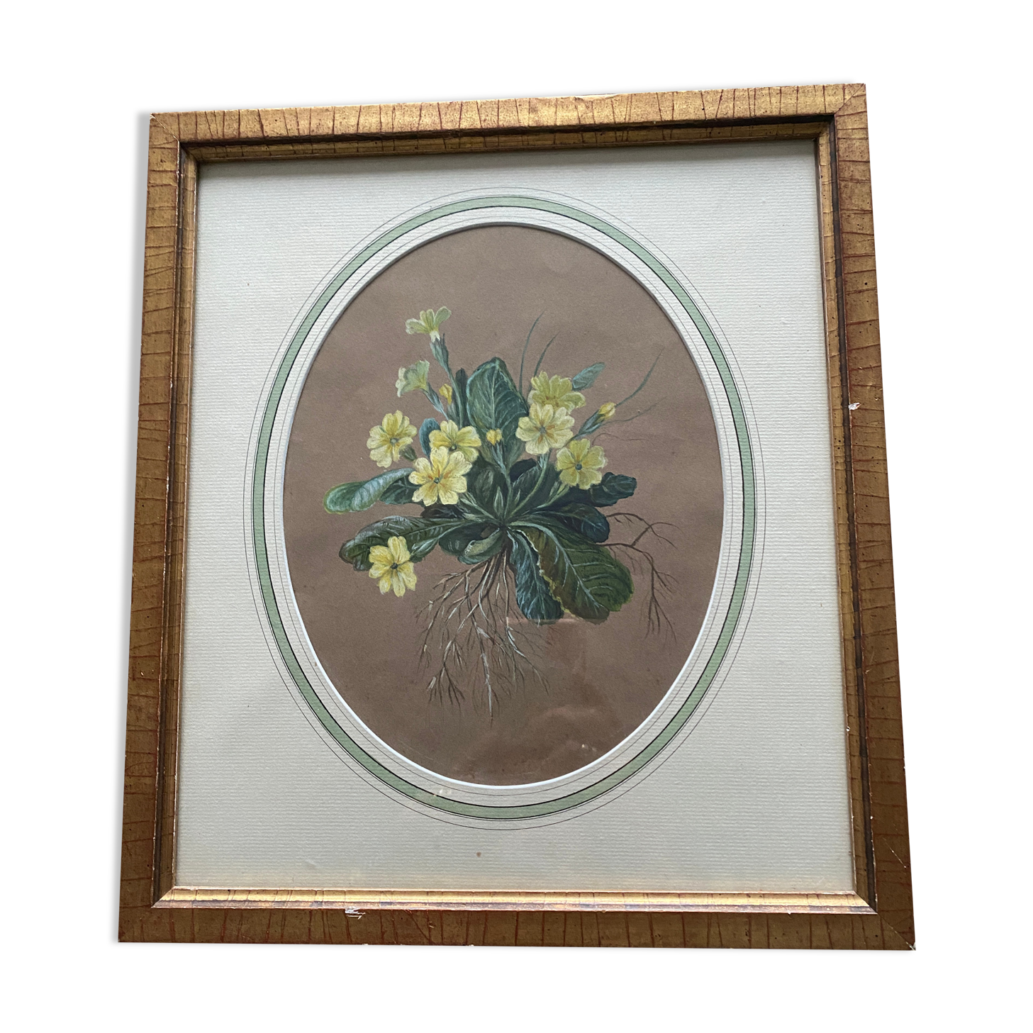 Watercolor "Primroses" XIX