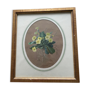 Aquarelle Primevères