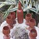 Scandinavian bottle and teak glass service