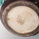 Pitcher Pot Earthenware - dragon decor - Swirling patterns and fantastic creatures - Masse frères
