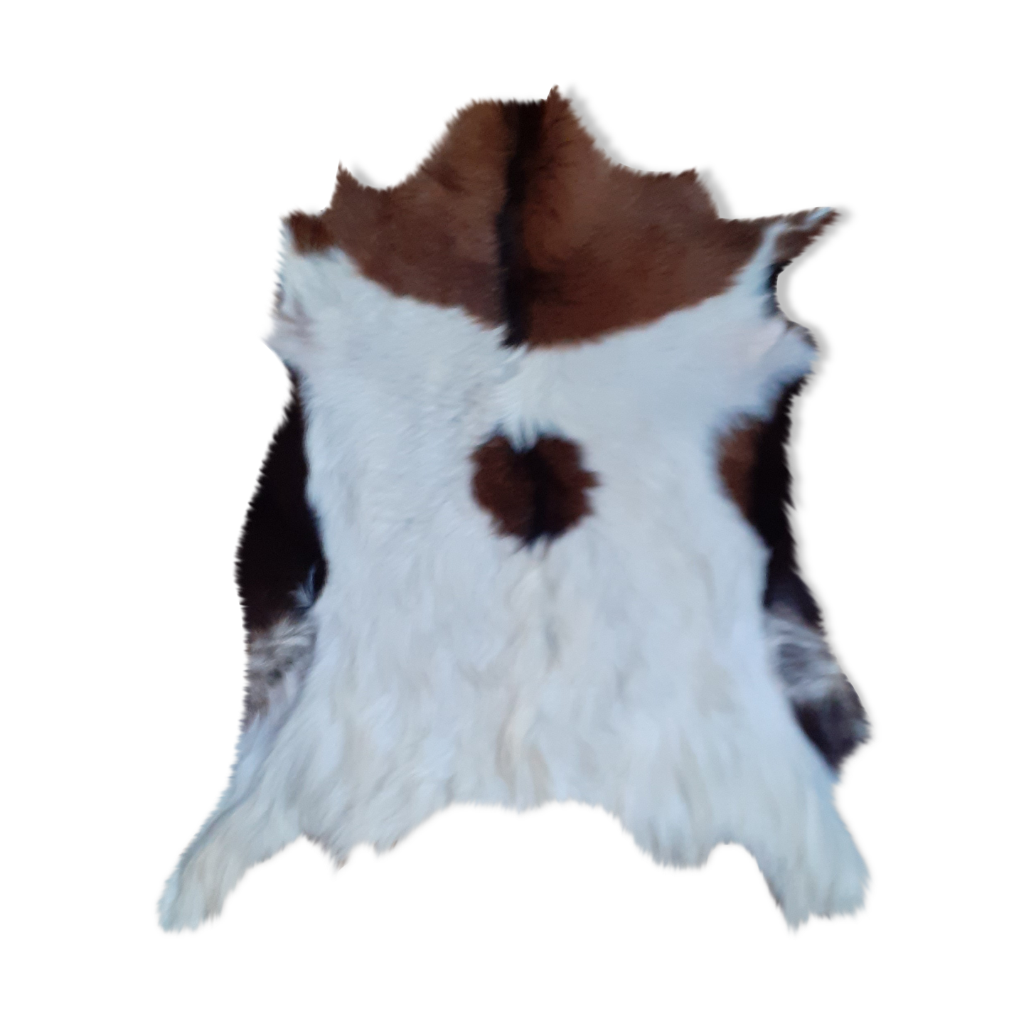 New goat skin