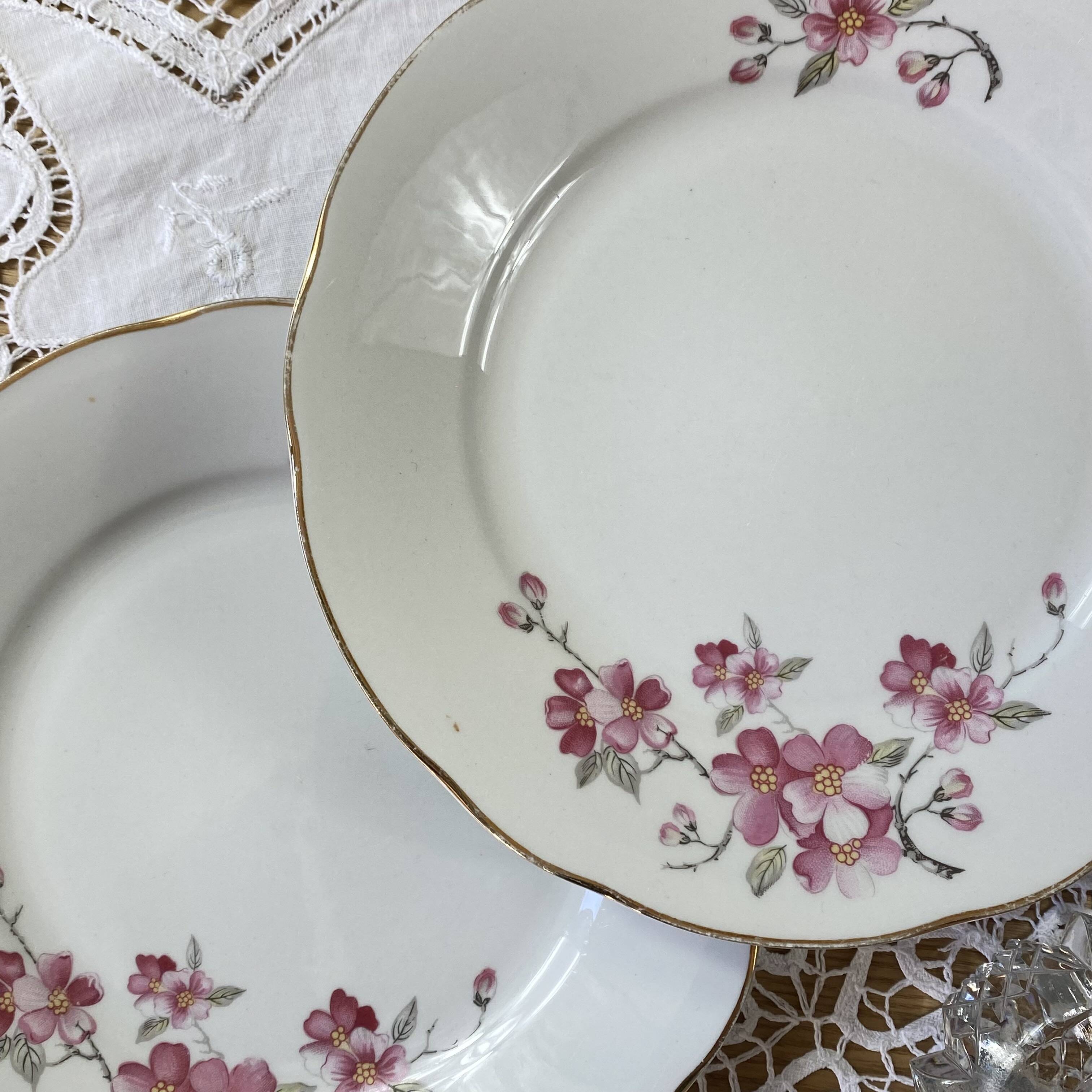 Service 9 assiettes dessert porcelaine ancienne Royal Tognana Italie