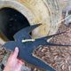 Swallow-shaped mirror