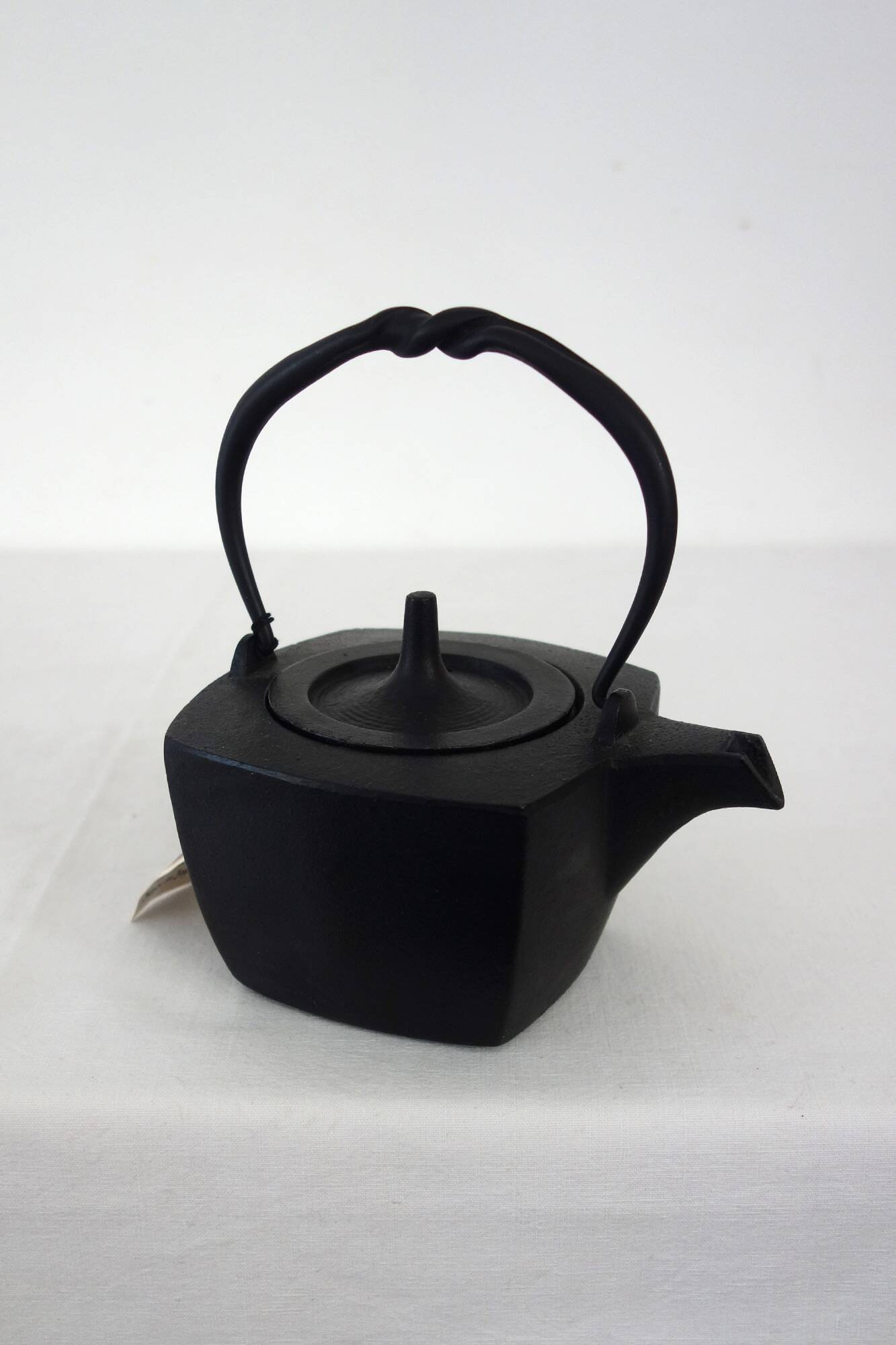 Oigen Japanese Cast Iron Teapot
