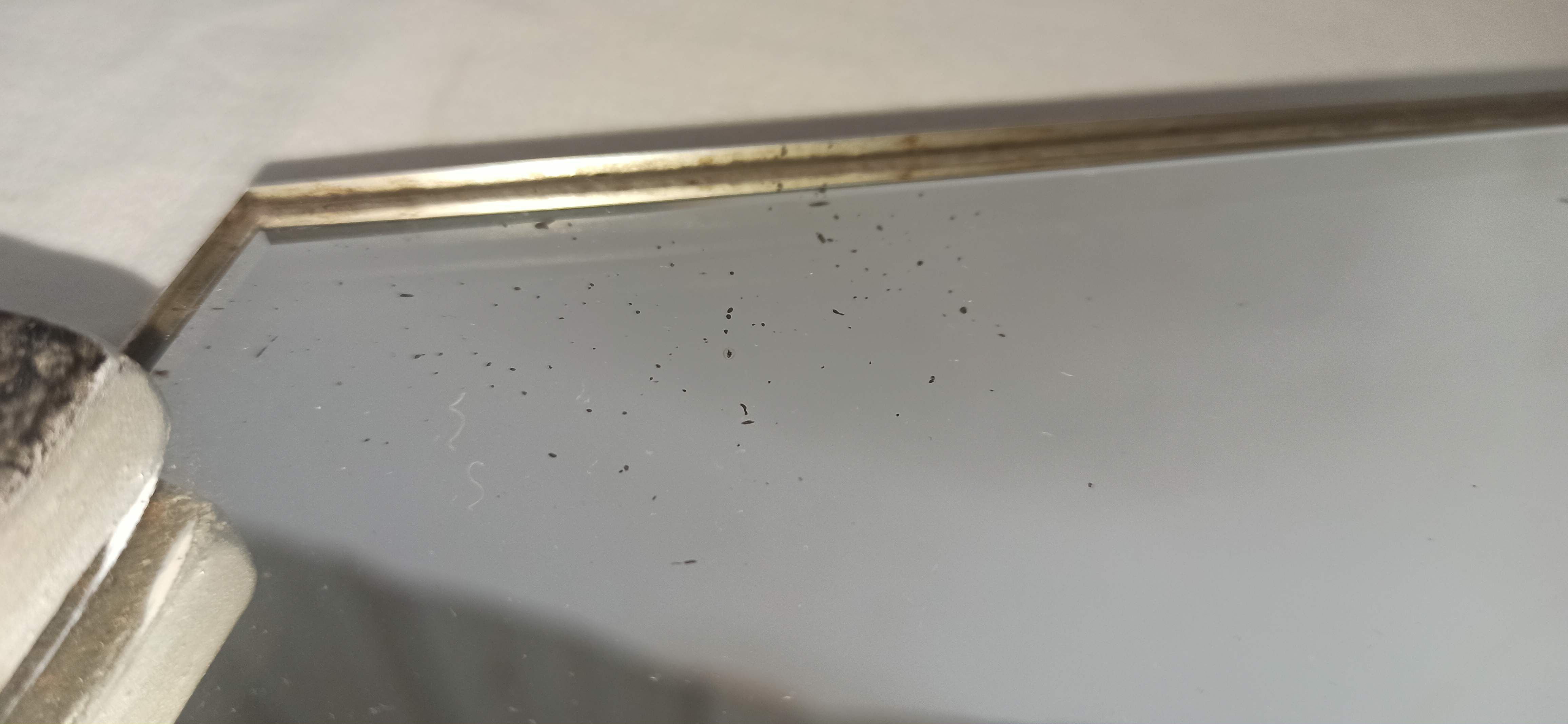 Mirror art deco grey silver pom pom rope