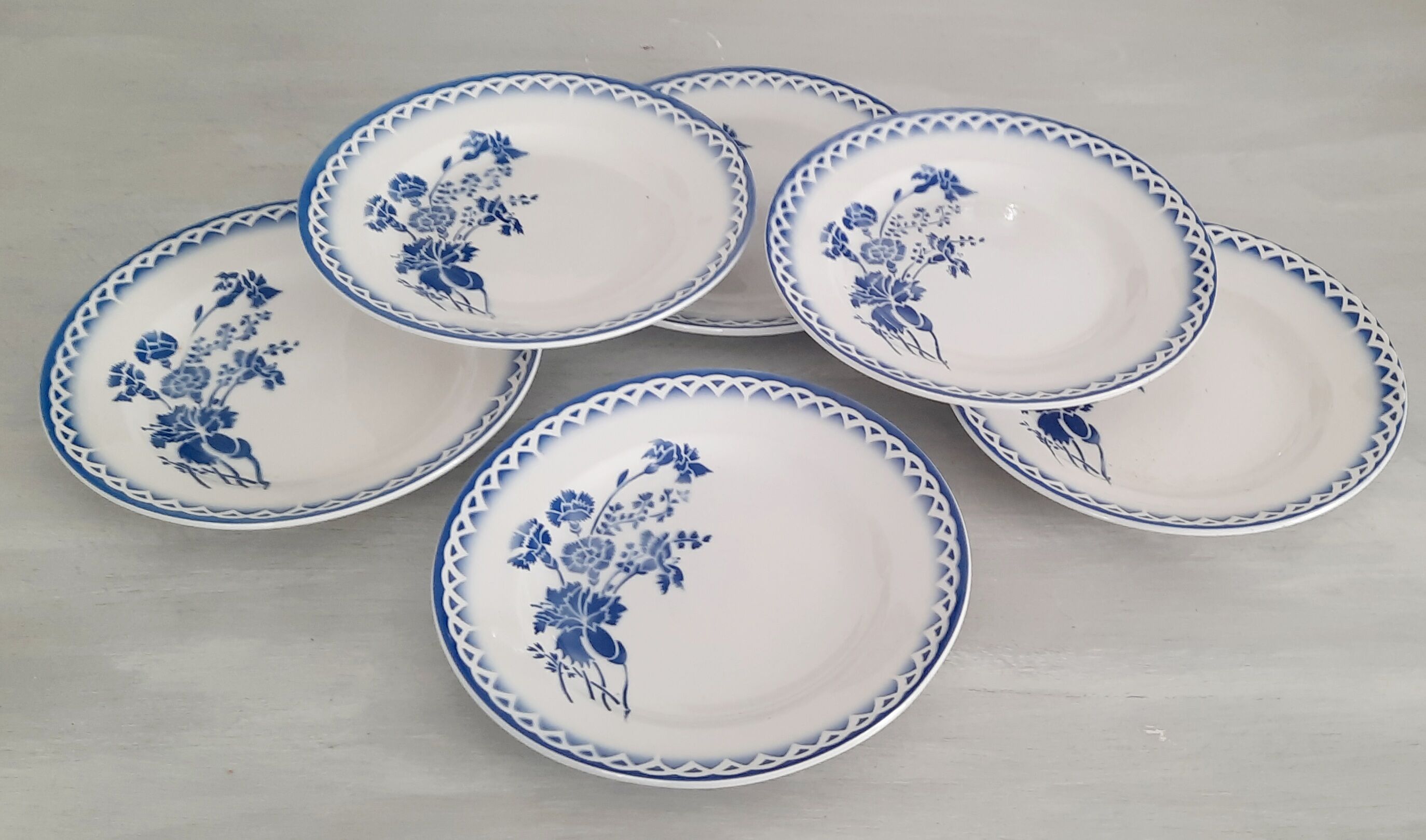 6 plates old earthenware Digoin Sarreguemines model annick vintage