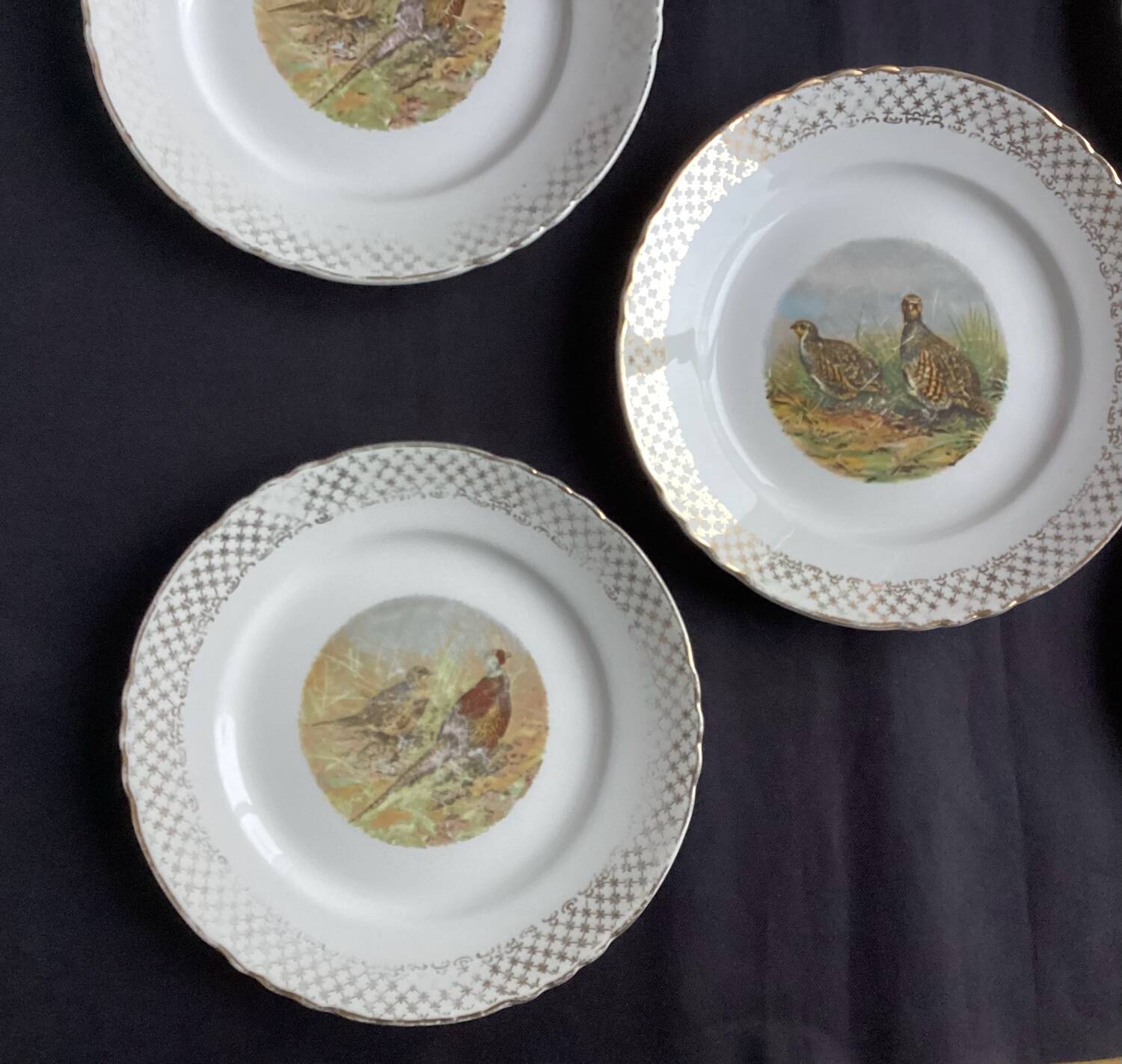 Set of 5 Moulin des Loups flat plates