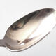 6 tablespoons silver metal Boulenger