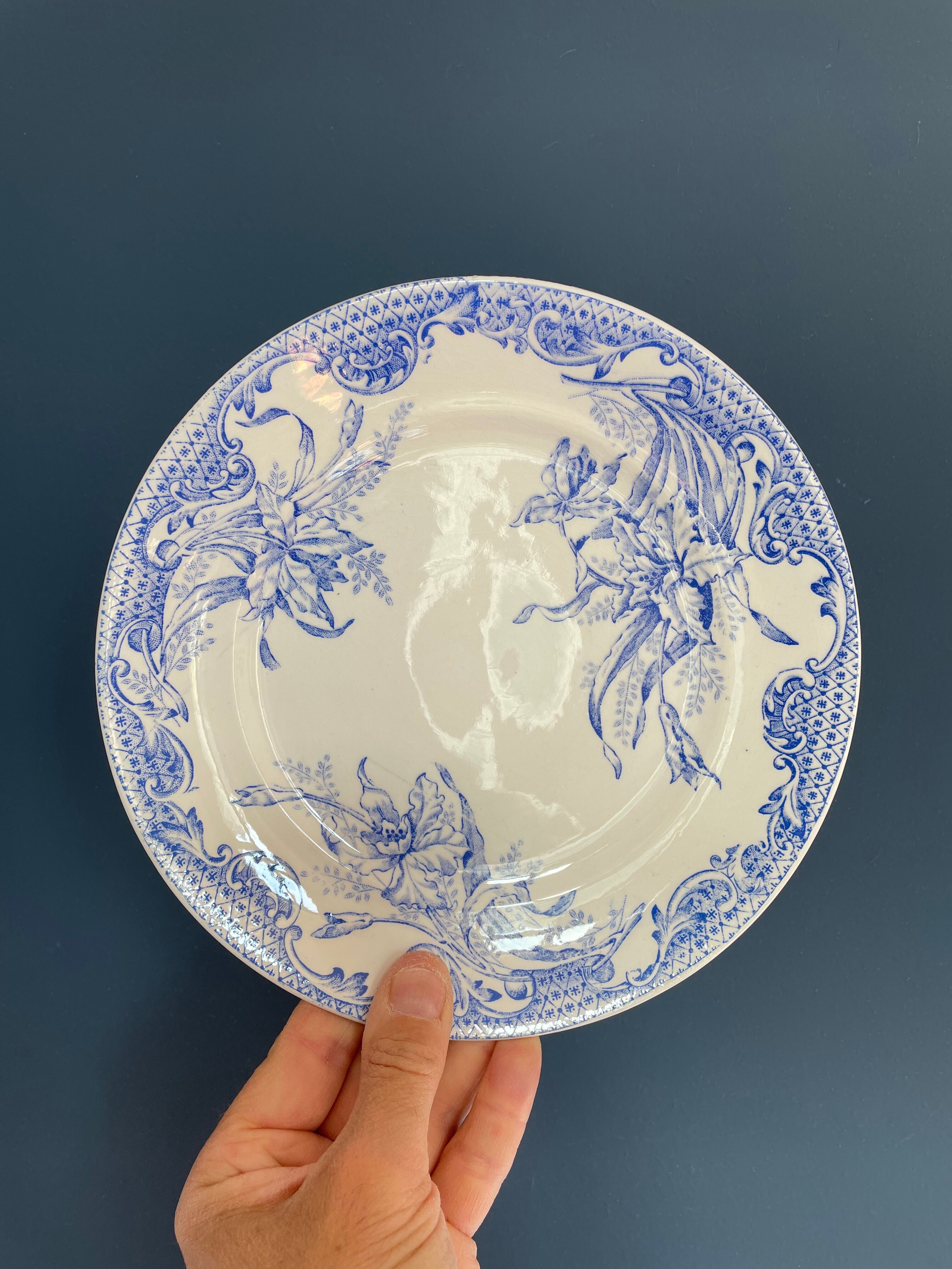 Series of 6 flat plates Iron Earth XIXth