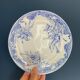 Series of 6 flat plates Iron Earth XIXth