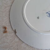 5 flat plates iron earth