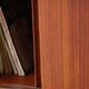 Vintage G Plan vinyl cabinet in teak (1960s)