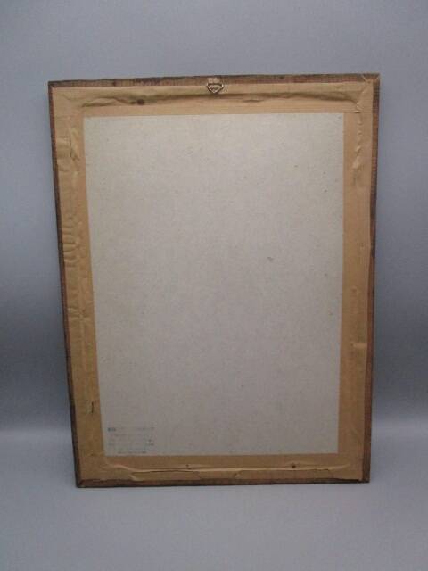 Old framed botanical engraving "yellow sulfur rose"