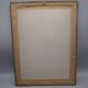 Old framed botanical engraving "yellow sulfur rose"