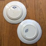 Creil & montereau two old plates faience model flora liseron (a)