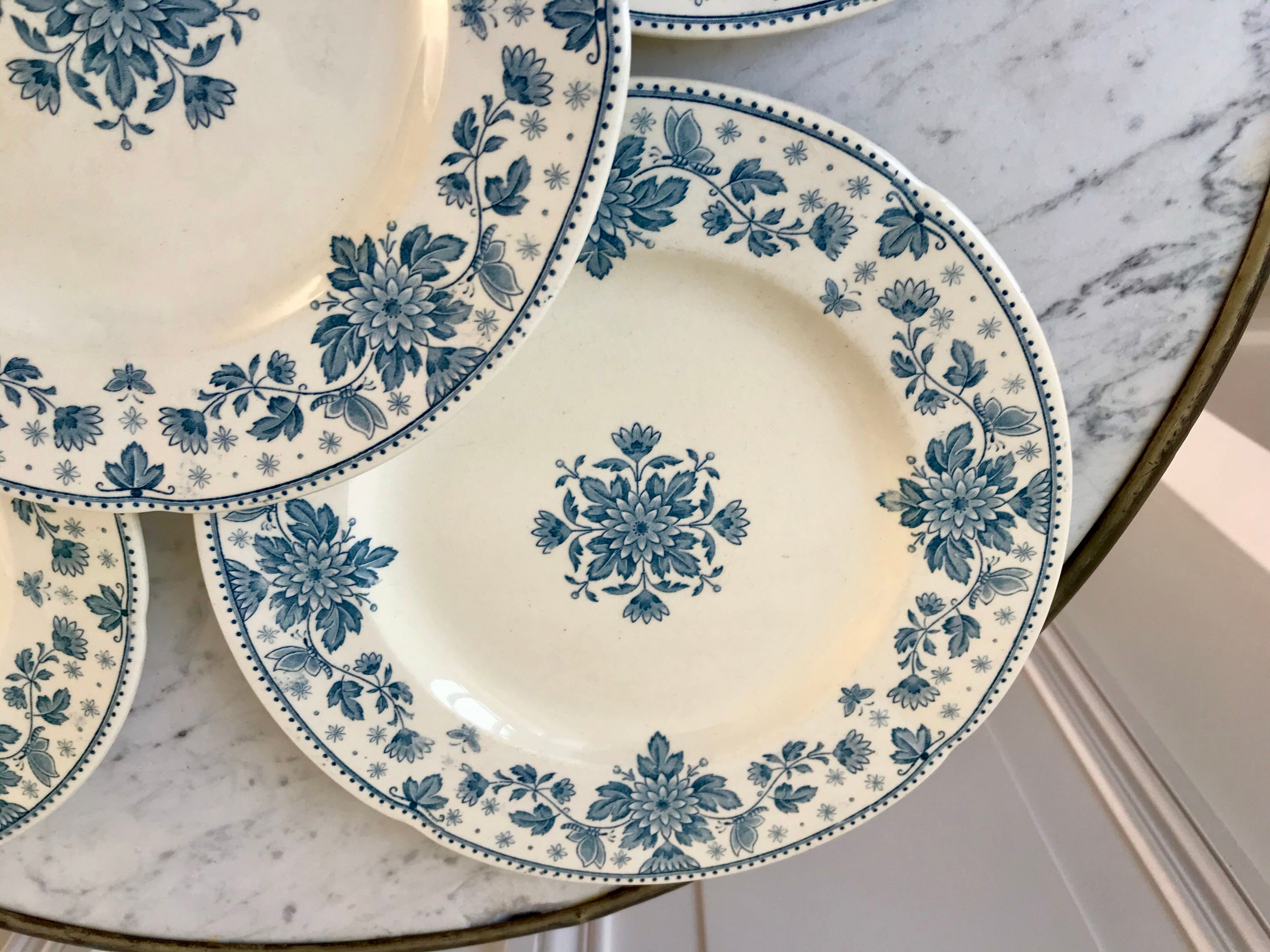 5 flat plates Terre de Fer Sarreguemines model "Estrèes" XIXth