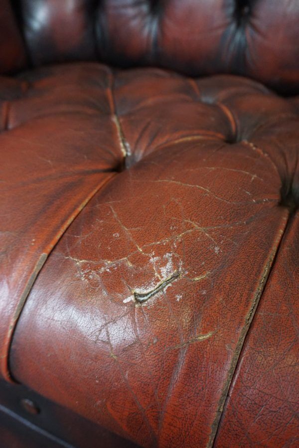 Chesterfield sofa in resistant cowhide, 3 seats